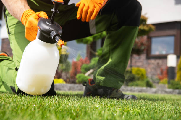 Best Affordable Pest Control Services  in Pearland, TX